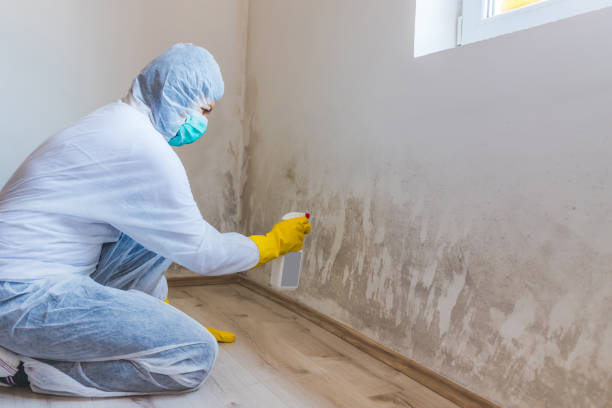 Bathroom Mold Removal assessment in Jefferson bathroom